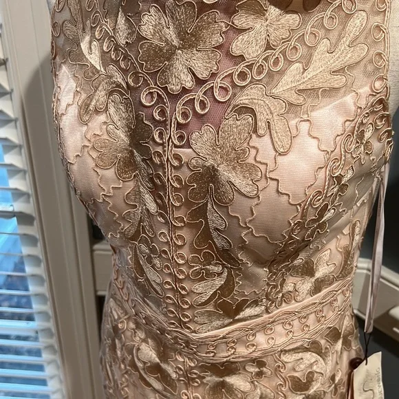 Gorgeous Sue Wong champagne embroidered dress - Picture 6 of 6